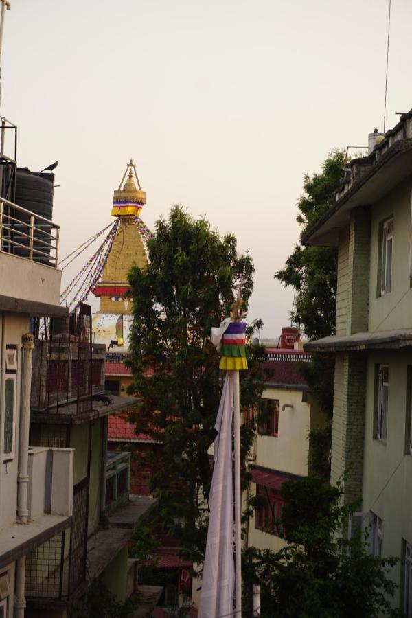 Drakon Nest Homestay カトマンズ エクステリア 写真