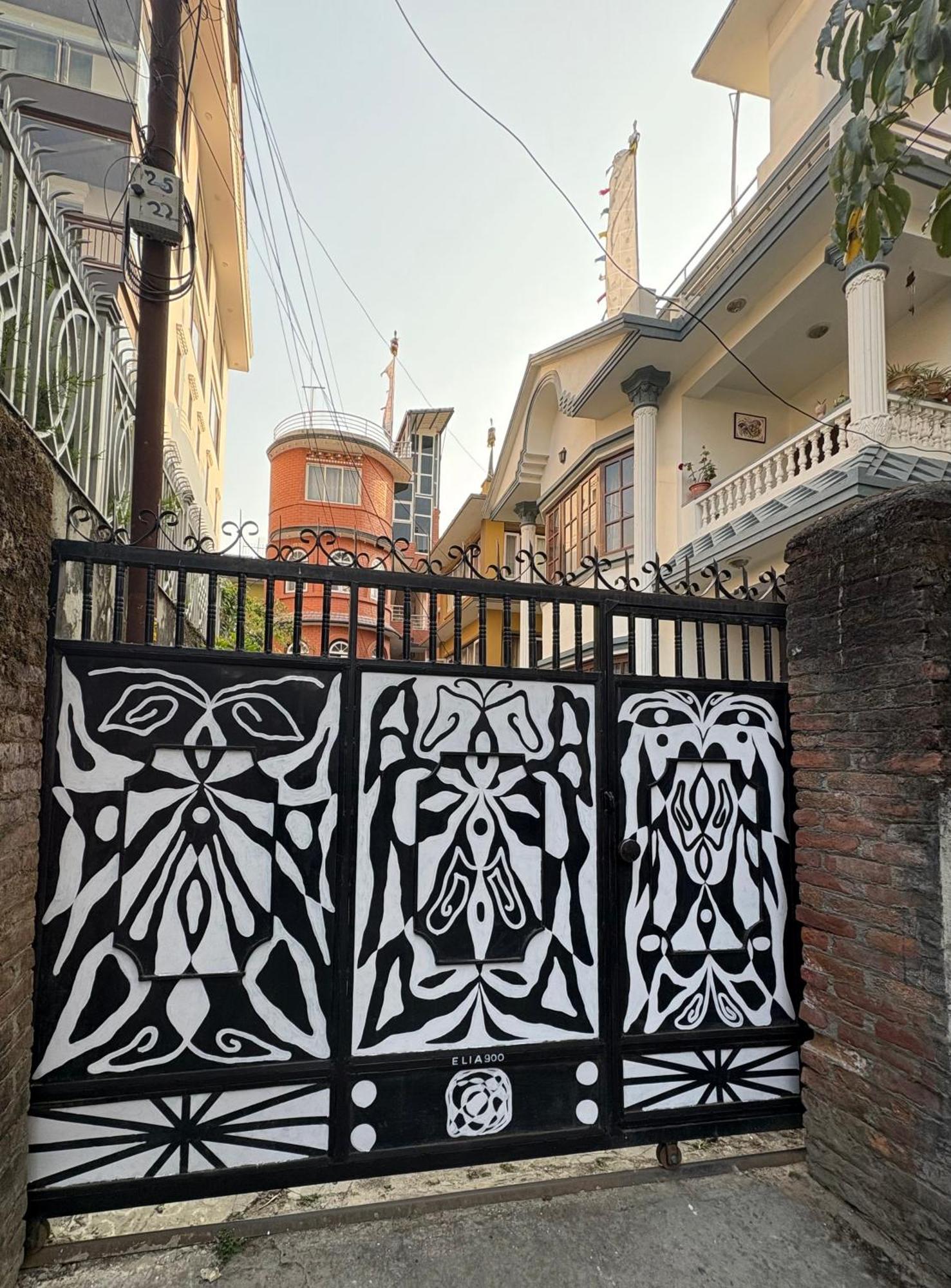 Drakon Nest Homestay カトマンズ エクステリア 写真